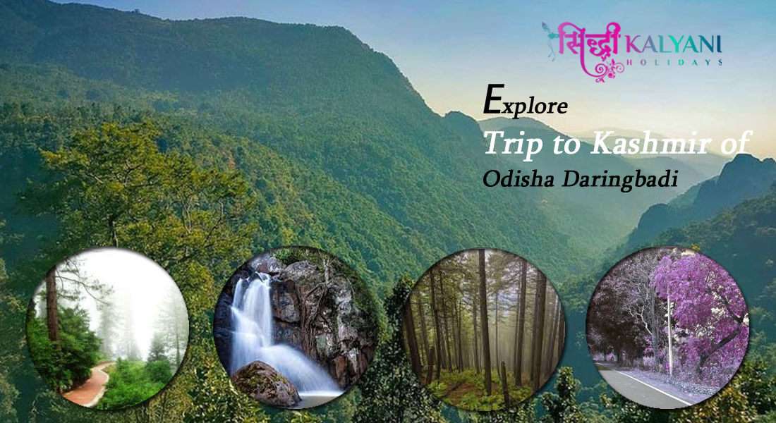 Explore Trip to Kashmir of Odisha Daringbadi