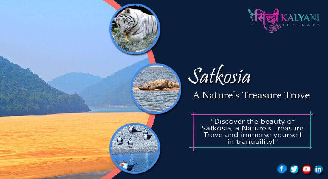 Satkosia a Nature’s Treasure Trove