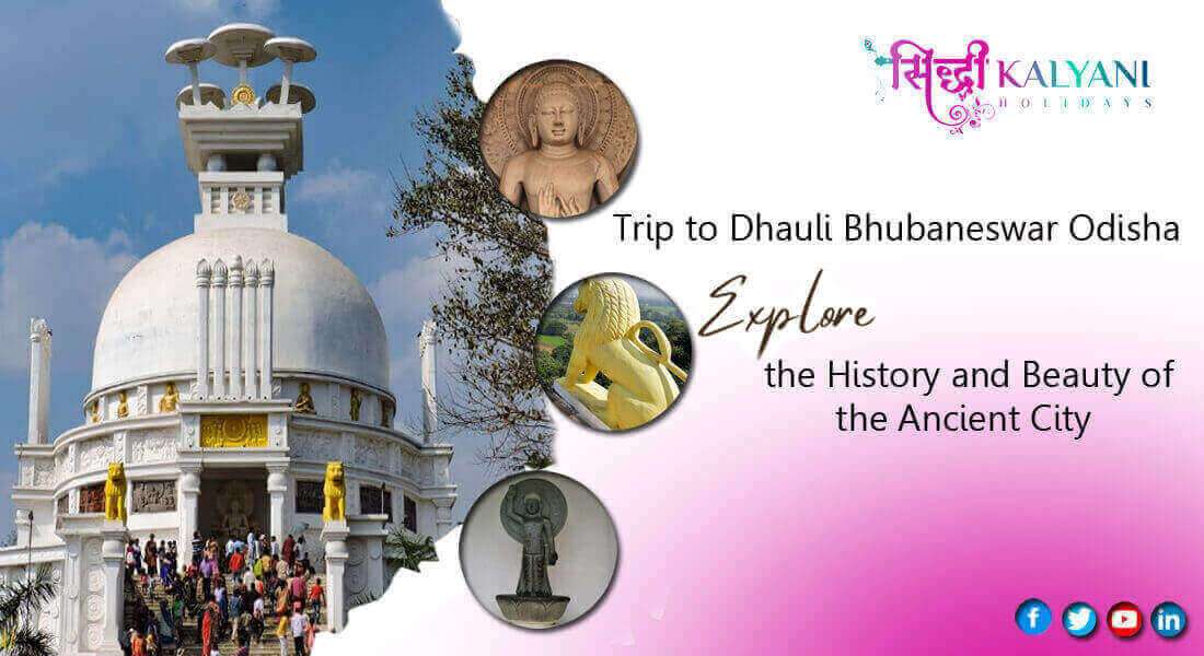 Trip to Dhauli Bhubaneswar Odisha – Exploring the History and Beauty of the Ancient City